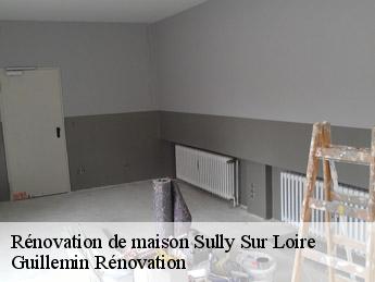 Rénovation de maison  sully-sur-loire-45600 Guillemin Rénovation 